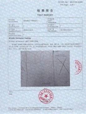 TEST REPORT TEST REPORT